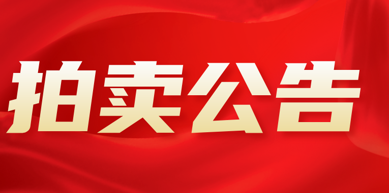 漳州市龙文区水仙大街168号中骏·蓝湾香郡三期9幢1615号房产